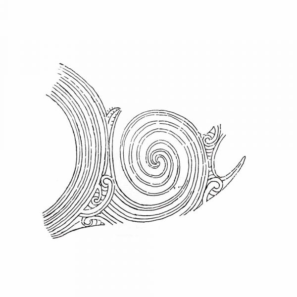 Taiohou-moko-tatuaggio-maori